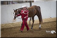 4H-State-2015-1473.jpg