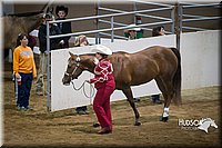 4H-State-2015-1474.jpg