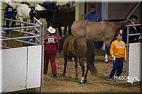 4H-State-2015-1475.jpg