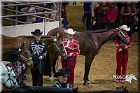 4H-State-2015-1476.jpg