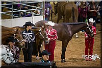 4H-State-2015-1478.jpg