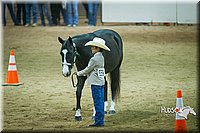 4H-State-2015-1480.jpg