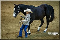 4H-State-2015-1487.jpg