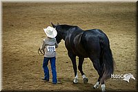 4H-State-2015-1488.jpg