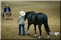 4H-State-2015-1489.jpg