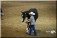 4H-State-2015-1492.jpg