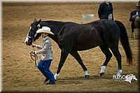 4H-State-2015-1493.jpg