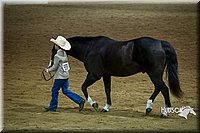 4H-State-2015-1496.jpg