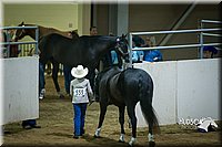 4H-State-2015-1497.jpg