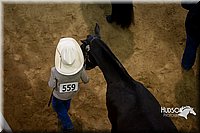 4H-State-2015-1499.jpg