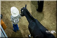 4H-State-2015-1500.jpg