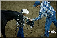 4H-State-2015-1503.jpg