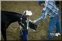 4H-State-2015-1505.jpg