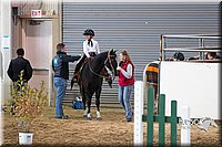 4H-State-2015-0044.jpg