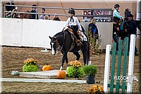 4H-State-2015-0045.jpg