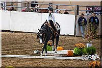 4H-State-2015-0048.jpg