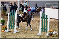 4H-State-2015-0050.jpg