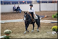 4H-State-2015-0056.jpg