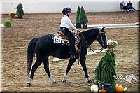 4H-State-2015-0060.jpg