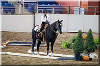 4H-State-2015-0065.jpg