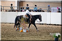 4H-State-2015-0068.jpg