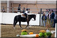 4H-State-2015-0069.jpg