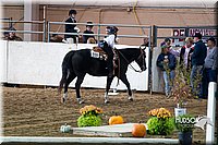 4H-State-2015-0070.jpg