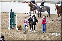 4H-State-2015-0115.jpg