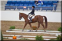 4H-State-2015-0860.jpg