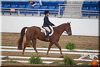 4H-State-2015-0862.jpg