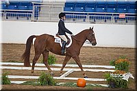 4H-State-2015-0863.jpg