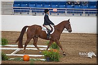 4H-State-2015-0864.jpg