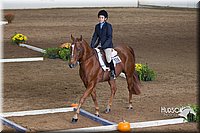 4H-State-2015-0867.jpg