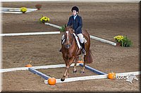 4H-State-2015-0868.jpg