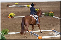 4H-State-2015-0870.jpg