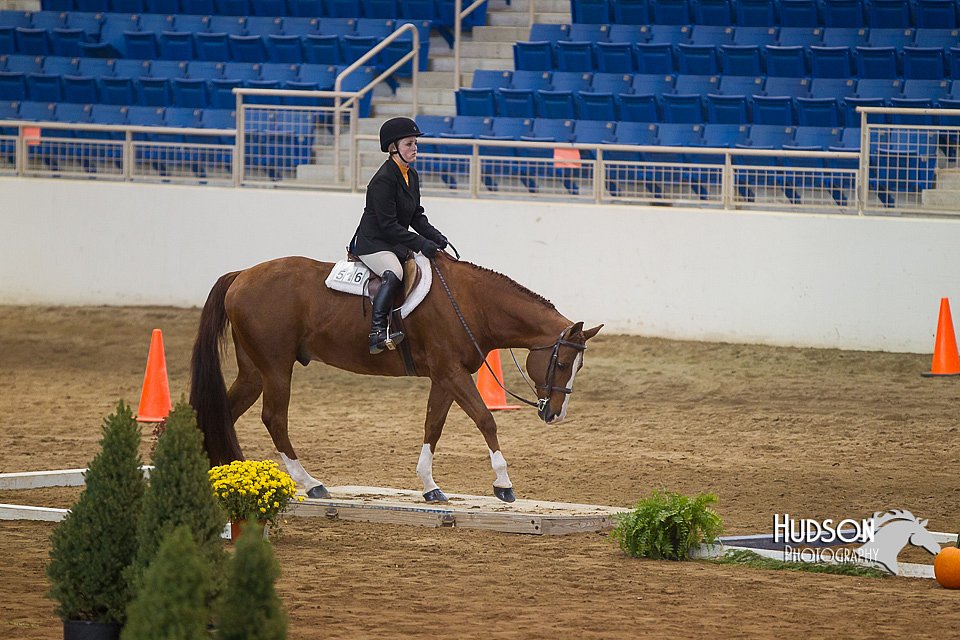 4H-State-2015-0718.jpg