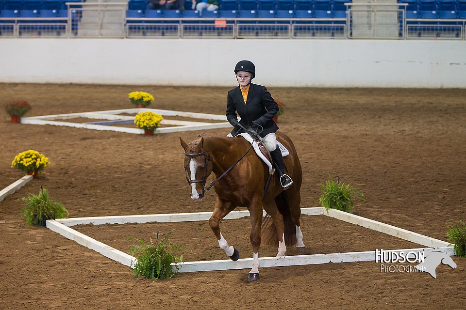 4H-State-2015-0732.jpg