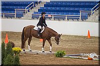 4H-State-2015-0719.jpg