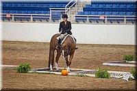 4H-State-2015-0722.jpg