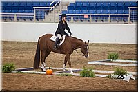 4H-State-2015-0723.jpg