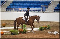 4H-State-2015-0726.jpg