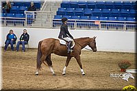 4H-State-2015-0727.jpg