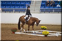 4H-State-2015-0728.jpg