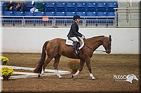 4H-State-2015-0729.jpg