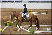 4H-State-2015-0730.jpg