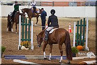 4H-State-2015-0743.jpg