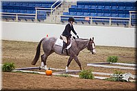 4H-State-2015-0755.jpg