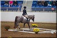 4H-State-2015-0759.jpg