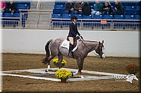 4H-State-2015-0762.jpg