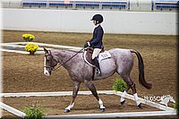 4H-State-2015-0763.jpg